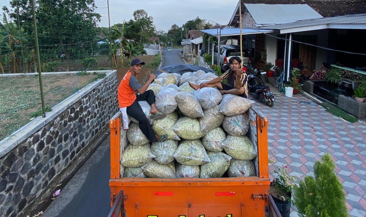 Produksi Pakan & Nutrisi Ternak