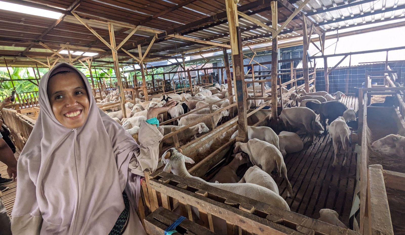 Pengelolaan Peternakan Terintegrasi